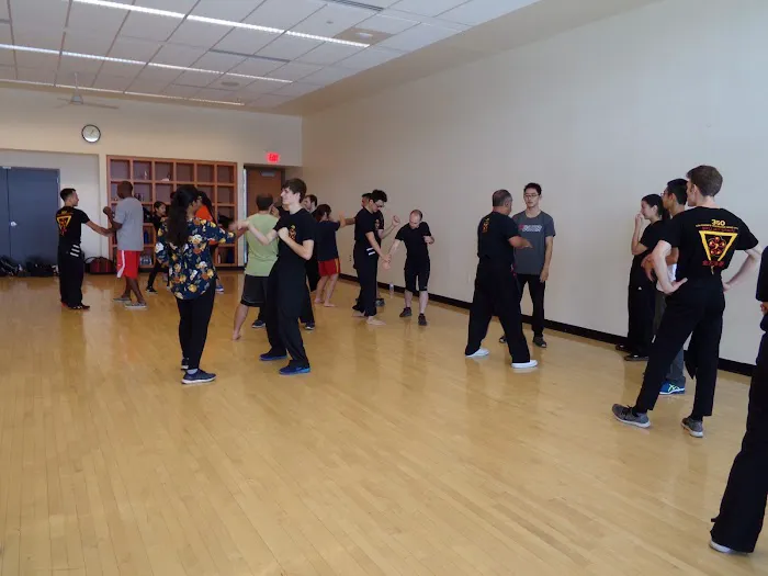 Integrative Wing Chun Phoenix Picture 9