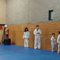 Hughes Karate-Do ico