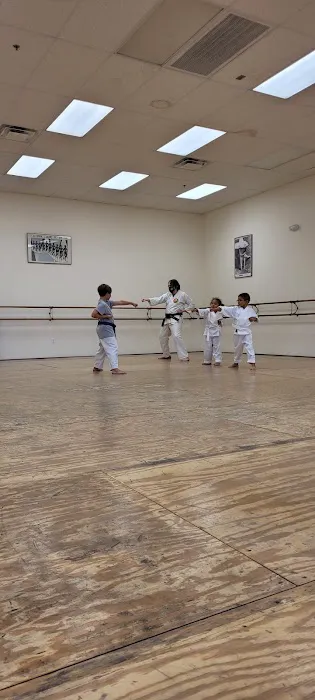 Hughes Karate-Do Picture 2