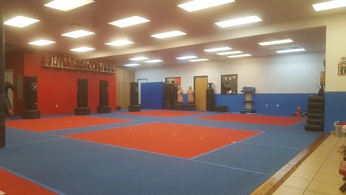 Team USA Martial Arts Picture 3