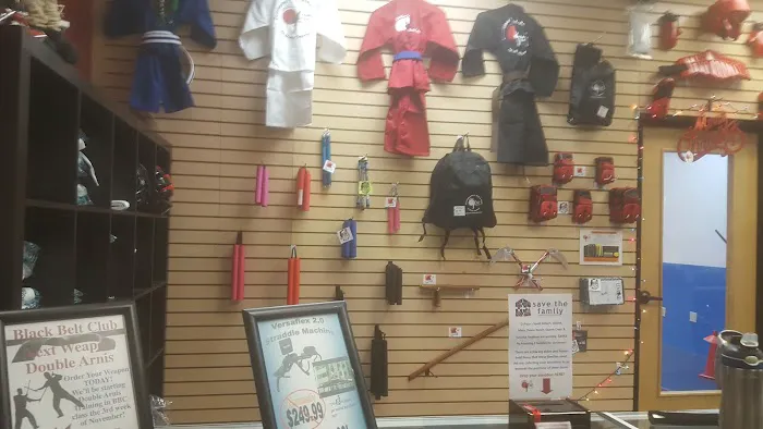 Team USA Martial Arts Picture 5