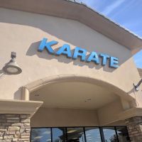 Team USA Martial Arts ico