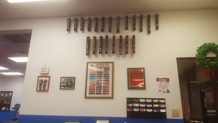 Team USA Martial Arts Picture 2