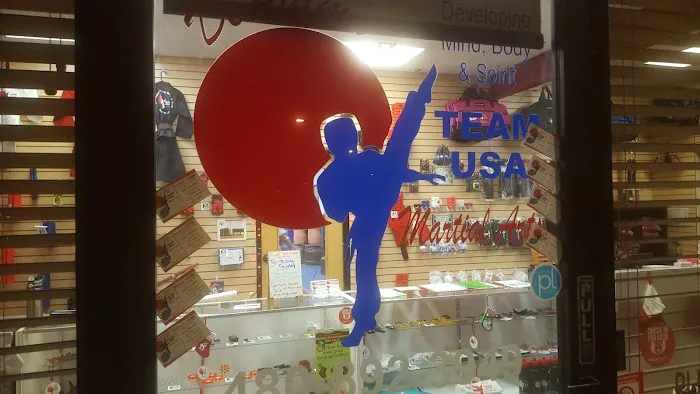 Team USA Martial Arts Picture 6