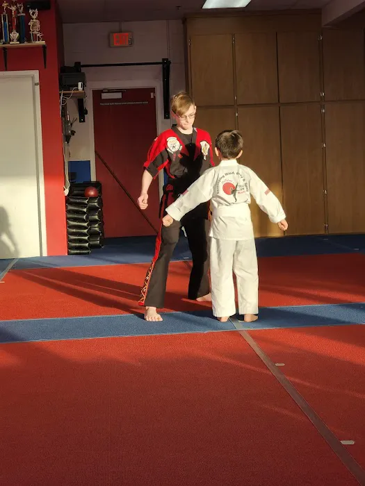 Team USA Martial Arts Picture 8