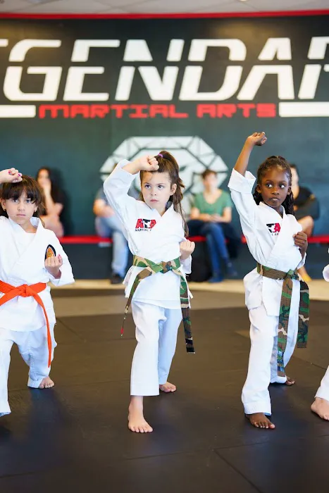 Legendary Martial Arts Mesa Picture 2