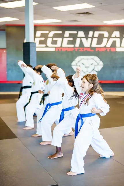 Legendary Martial Arts Mesa Picture 9