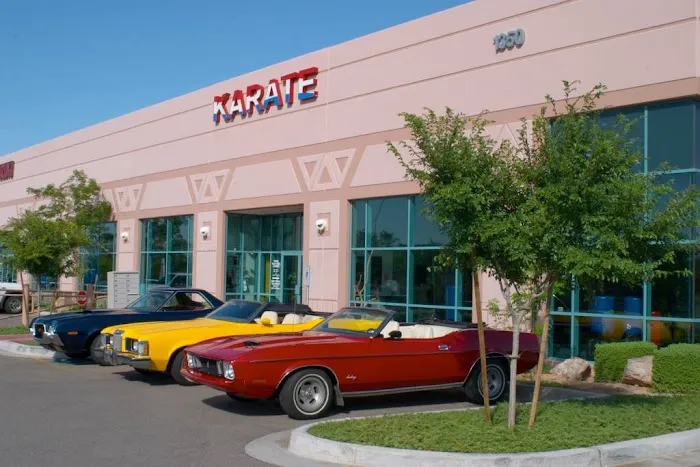 Power Black Belt Academy Picture 6