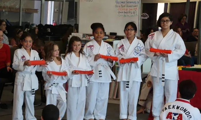 Power Black Belt Academy Picture 5