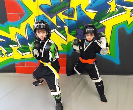 Precision Martial Arts