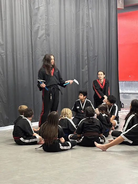 Precision Martial Arts Picture 8