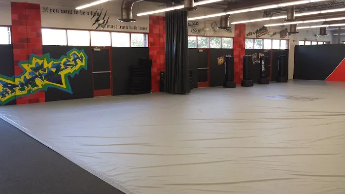 Precision Martial Arts Picture 7