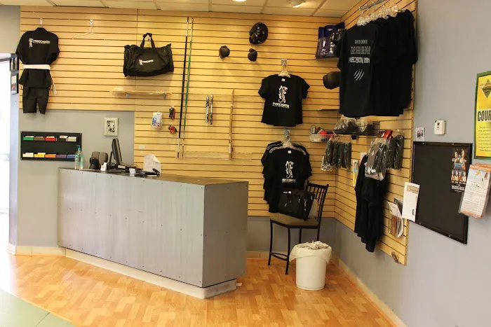 Precision Martial Arts Picture 5