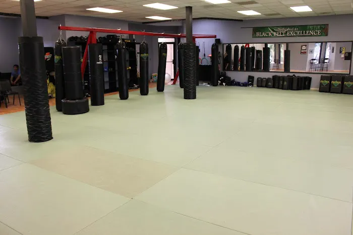 Precision Martial Arts Picture 4