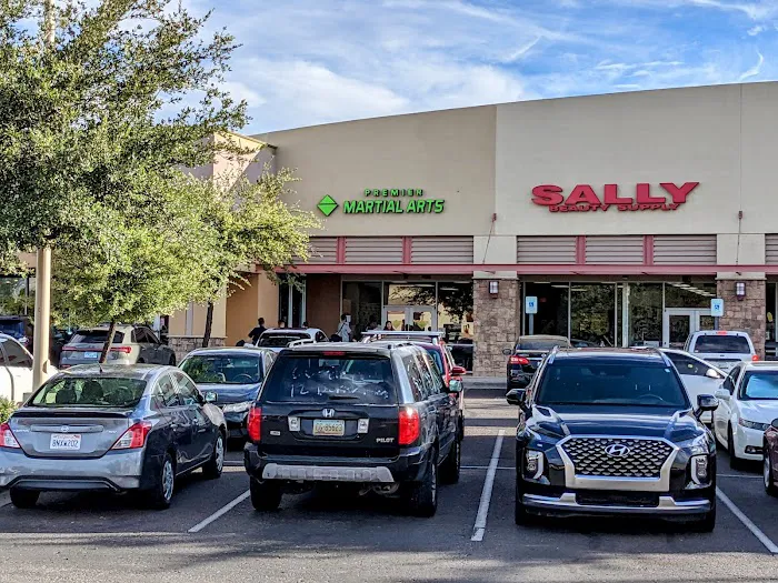 Premier Martial Arts Gilbert (2743 S. Market Street, Gilbert) Picture 6