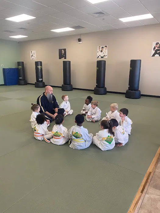 Premier Martial Arts Gilbert (2743 S. Market Street, Gilbert) Picture 5