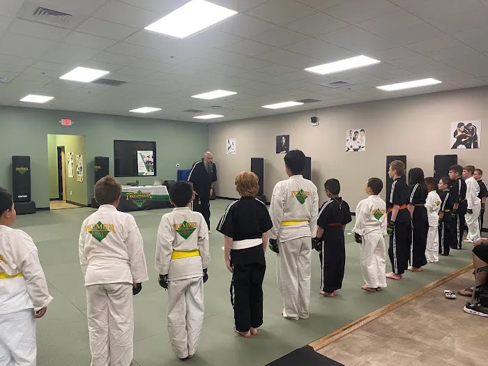 Premier Martial Arts Gilbert (2743 S. Market Street, Gilbert) Picture 10