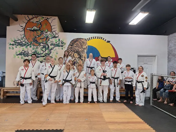 Lee's ATA Martial Arts Picture 1