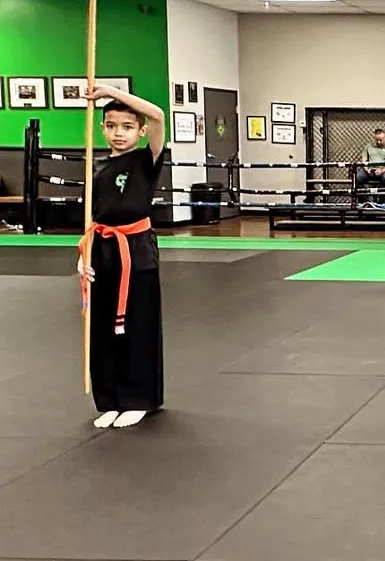 Chandler MMA Picture 5