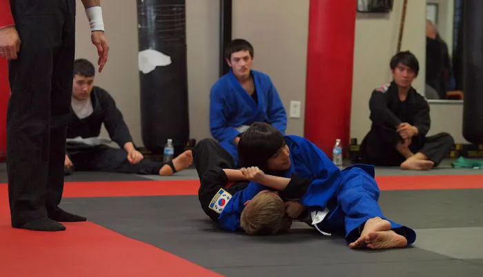 Chandler MMA Picture 4