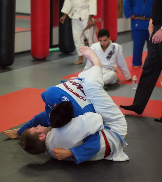 Chandler MMA Picture 7