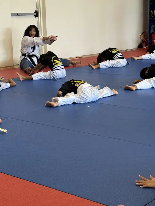 Master Shin's World Class Tae Kwon Do Picture 1
