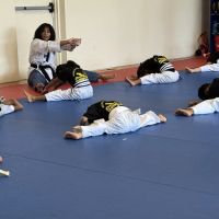 Master Shin's World Class Tae Kwon Do ico