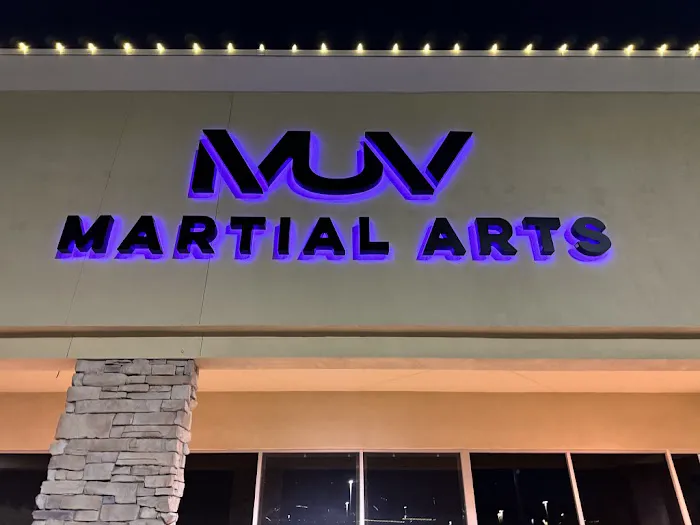 MUV Martial Arts - West Chandler Picture 3