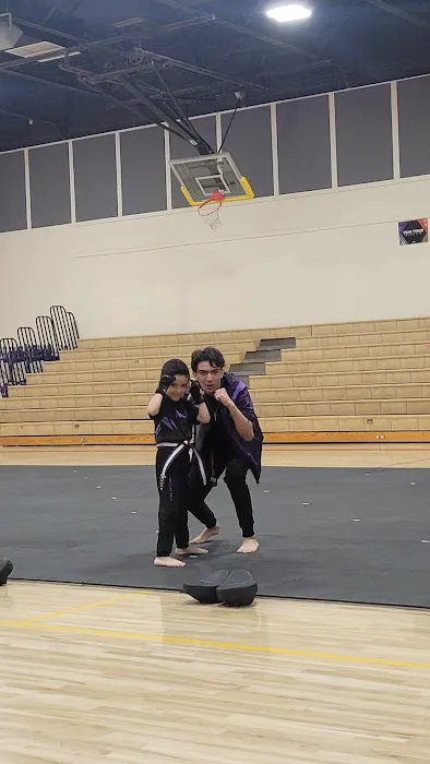 MUV Martial Arts - West Chandler Picture 2