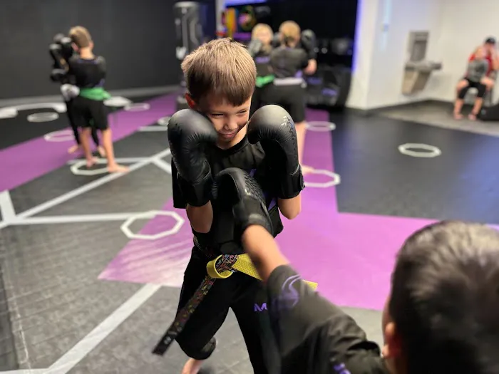 MUV Martial Arts - West Chandler Picture 10