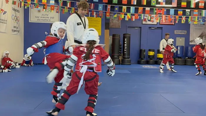 Elite Tae Kwon Do School Picture 4