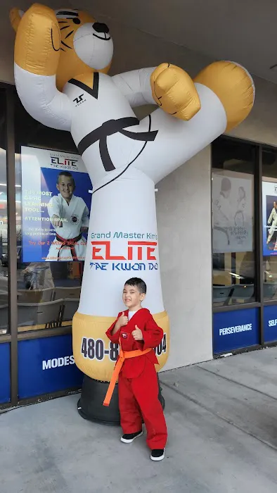 Elite Tae Kwon Do School Picture 5