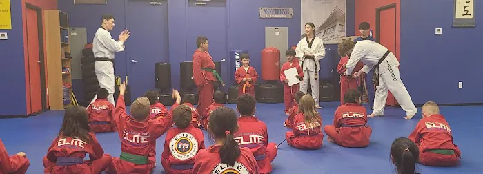 Elite Tae Kwon Do School Picture 3