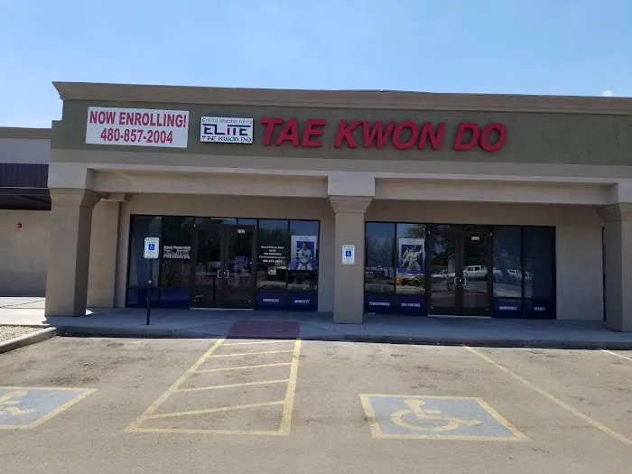 Elite Tae Kwon Do School Picture 9