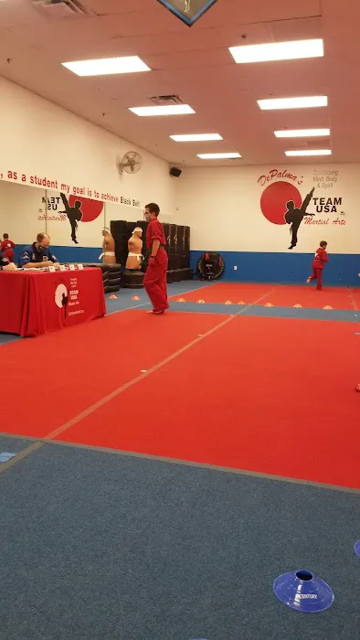 Team USA Martial Arts Picture 4