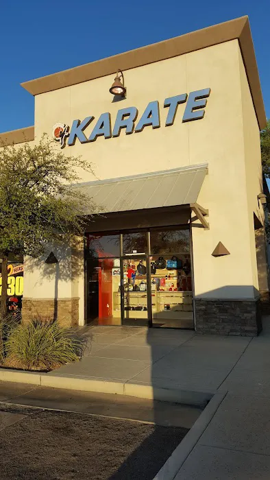 Team USA Martial Arts Picture 2