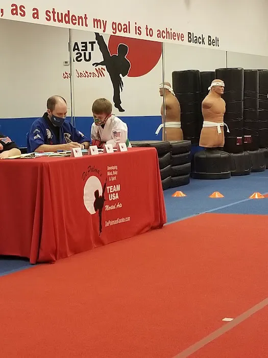 Team USA Martial Arts Picture 6