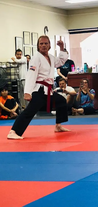 Koclanis Martial Arts Picture 1