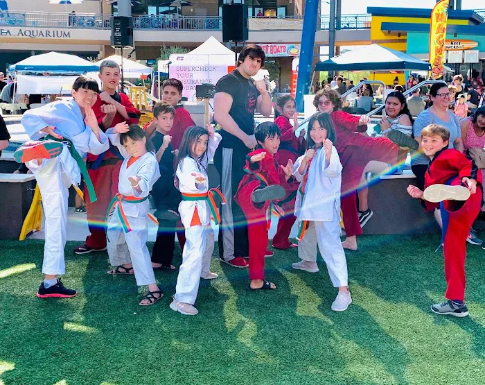 Koclanis Martial Arts Picture 6