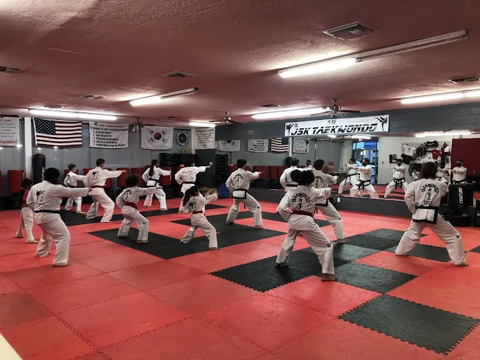 JSK TAEKWONDO Picture 2