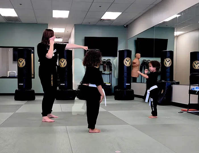 Victory Martial Arts Ahwatukee Picture 2