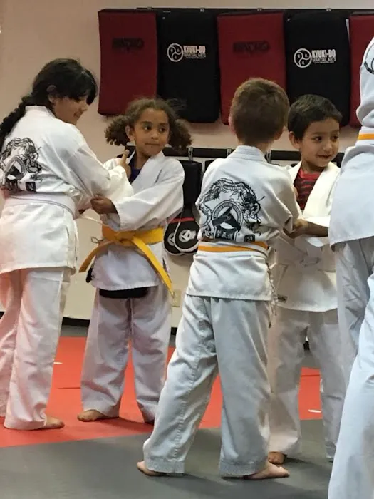 AKF Black Belt Academy Picture 7