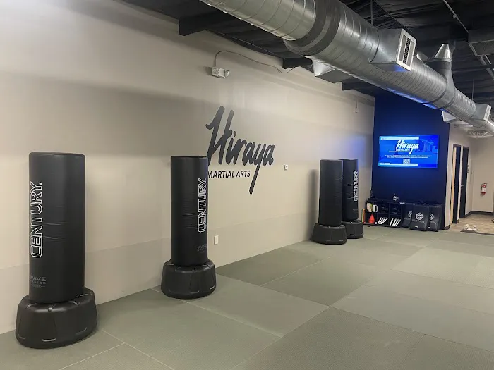 Hiraya Martial Arts | Martial Arts School Picture 1