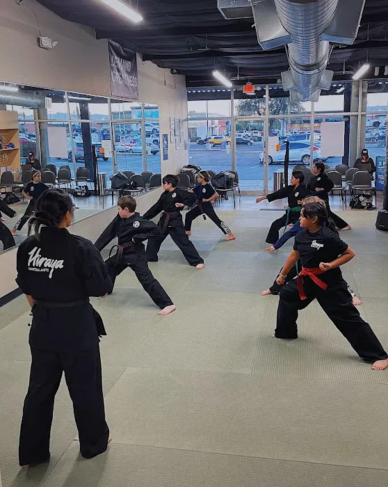 Hiraya Martial Arts | Martial Arts School Picture 10