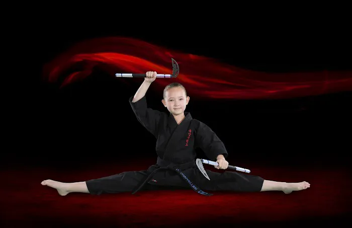 Lee's ATA Martial Arts Picture 1