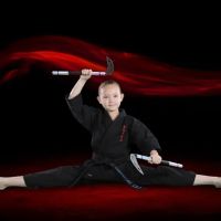 Lee's ATA Martial Arts ico