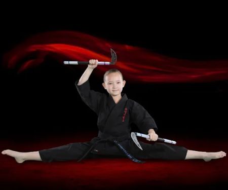 Lee's ATA Martial Arts