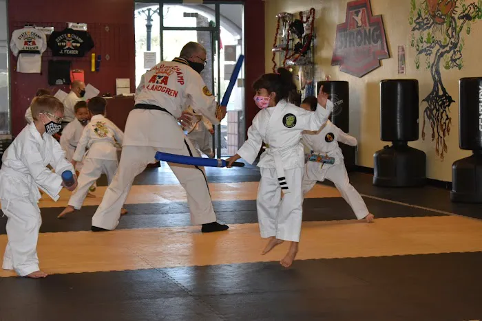 Lee's ATA Martial Arts Picture 2