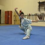 World Martial Arts Academy