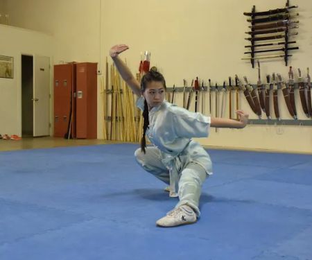 World Martial Arts Academy